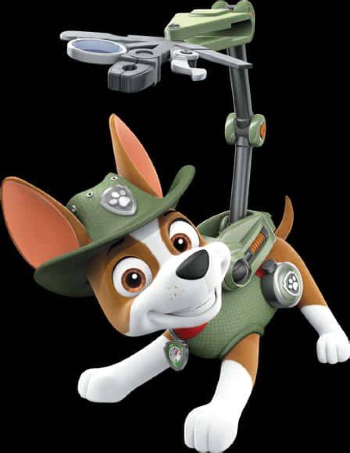 Tracker the Jungle Pup